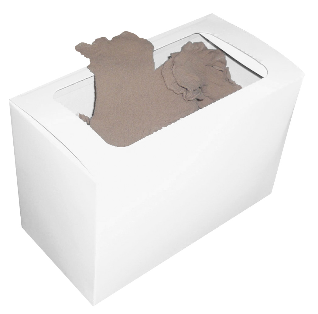 20 DEN Feinsöckchen für Schuhanprobe in perle -100er spender Box-